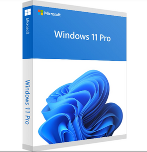 Windows 11 Professional 32/64 Bit