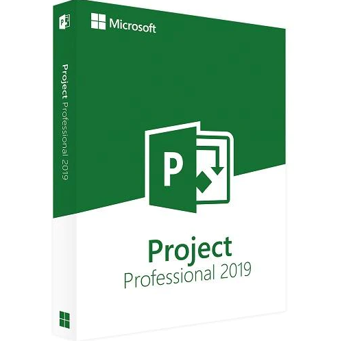 MICROSOFT OFFICE PROJECT 2019 PROFESSIONAL